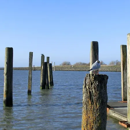 Schiffer Hotel Bensersiel